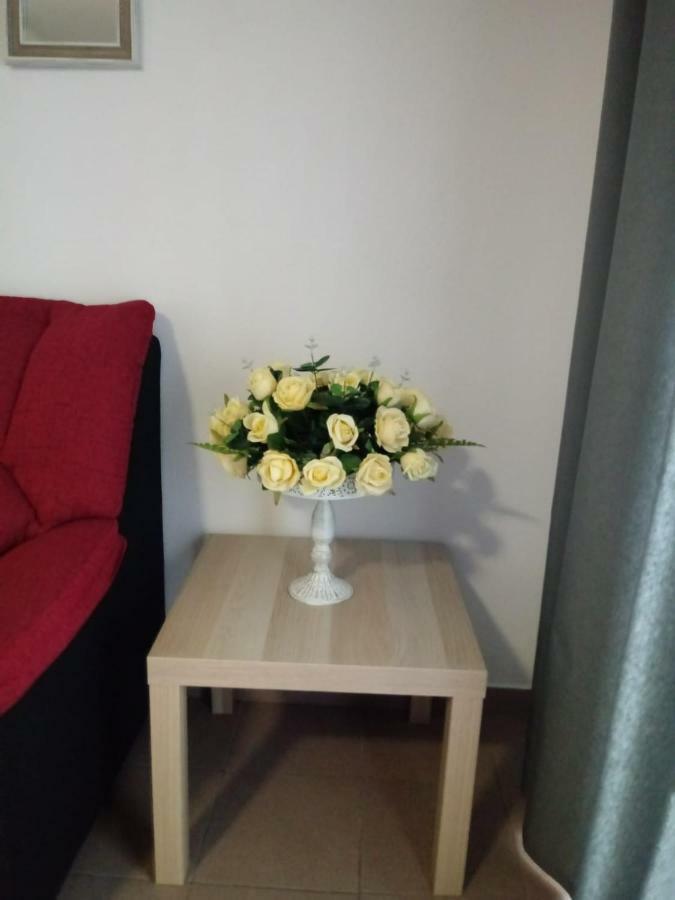 Apartamento Bediesta Santa Cruz de la Palma  Dış mekan fotoğraf