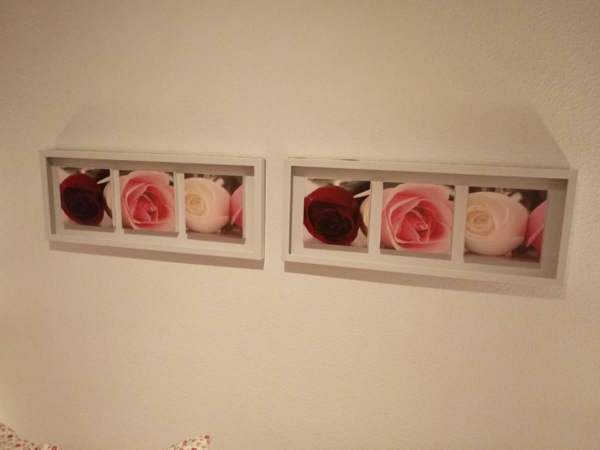 Apartamento Bediesta Santa Cruz de la Palma  Dış mekan fotoğraf
